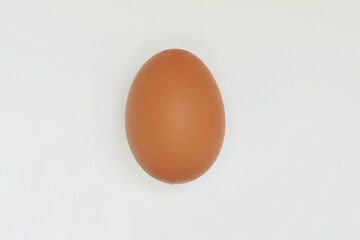 egg on white background