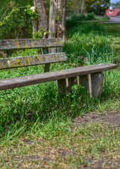 Naklejka premium old bench with moss