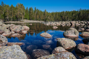 Fototapeta na wymiar landscape with stones in lake against background of a spruce forest on sunny summer day. Moraines in Karelia in Russia