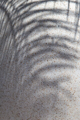 Fototapeta na wymiar Abstract shadow black white palm leaf shadow on a white wall Background.