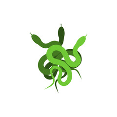 Snake icon isolated on white background