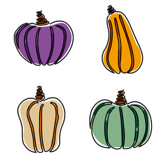 Autumn pumpkins, line illustration