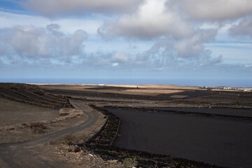 Country with fields, Lanzarote, Spain