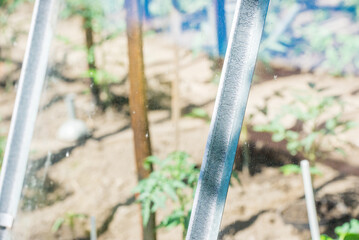 Fototapeta premium Little greenhouse in rural area. Small village glasshouse for food.