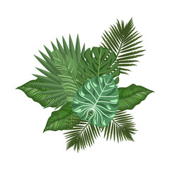 A tropical composition of leaves isolated on a white background.Vector illustration can be used in postcards, textiles, holiday designs.