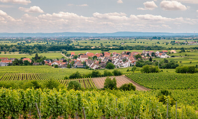 Fototapeta na wymiar Travel Germany Southern Wine Route