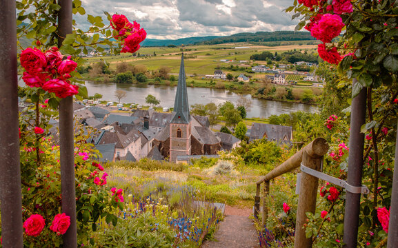 Travel Germany  Moselle wine region