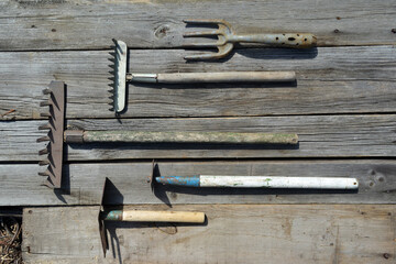 Sunlit old gardening tools - assorted hoes, rippers and rakes - lie parallel to each other on...