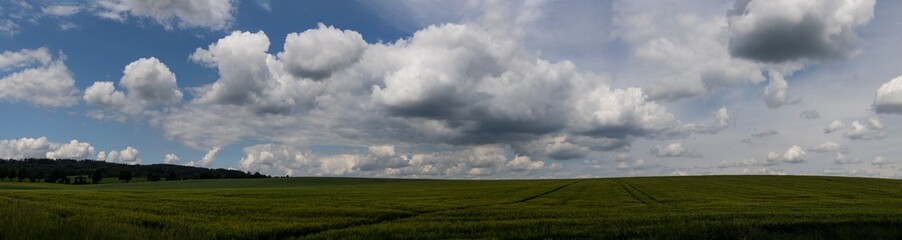 Fototapeta na wymiar Czech Grassfields