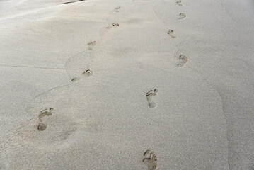 Fototapeta na wymiar Footprints of human feet on the gray sand of the beach or putyn
