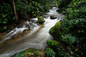 Natural water flow in waterfall in rainforest tropical in Thailand for create nature background in editing work. low light shooting.