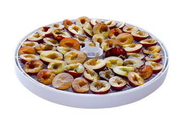 Plum on a fruit drying tray isolated on white background, top view. Dried fruit drying machine for vegetables. Dried plums are in the vegetable dryer. Preparing fruits for drying. Collection of fruits