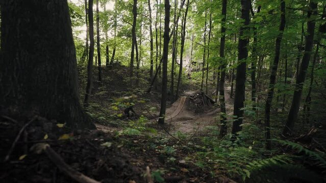 zoom camera is a cinematic shot of a professional cyclist on a mountain bike driving at high speed onto a high springboard and making a jump on a forest mountain track