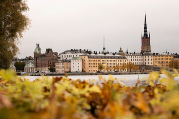 Autumn in the city. Focus on the Stockholm old town buildings, skyline and architecture. Out of focus is the yellow autumn leaves and foliage. Photo taken in Stockholm, Sweden. - obrazy, fototapety, plakaty