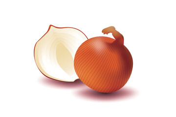 It's an illustration for onion.