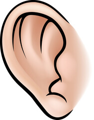 Ear Body Part