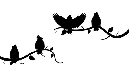 Abstract Black Line Tree Branch With Birds Wings Vector Icon Nature Design Style Decoration Cartoon Background Isolated