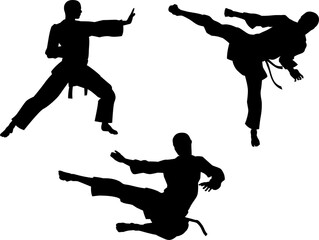 Karate Martial Art Silhouettes © Christos Georghiou