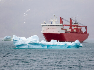 Container ship navigating among icebergs in the harbor of Narsaq, Southern Greenland