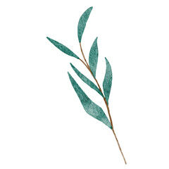 Green Christmas watercolor leaf on white