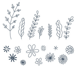 A set of summer wild meadow herbs in linear doodle style, leaves and flowers, chamomile and daisies. Simple plant contours with a transparent background.