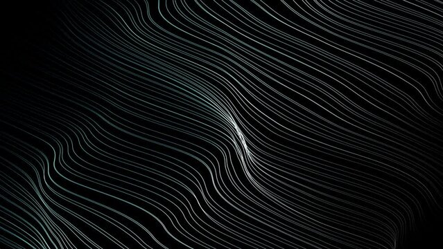 Wave lines pattern loop background.