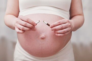 Pregnant woman breaks a cigarette in her hands as smoking cessation, home living room