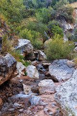 Naklejka na ściany i meble Small waterfall and a mountain stream run among the boulders