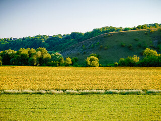 Green fields in the valley on the background of hills at sunset. Summer landscape.