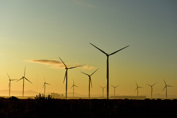 Obraz premium A wind farm of eerie looking turbines in a sunrise with small clouds scattered about