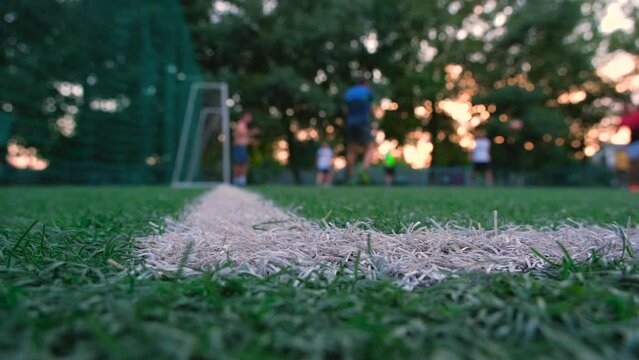 Football training. FIFA World Cup 2022. Football lawn close-up, players in the background.