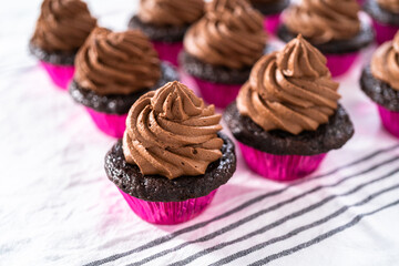 Chocolate ganache cupcake