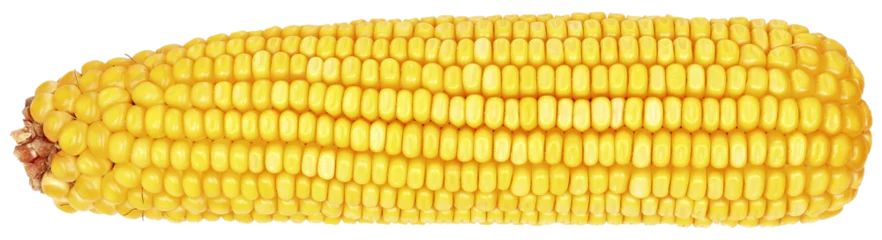Foto auf Acrylglas Frisches Gemüse whole ear of corn