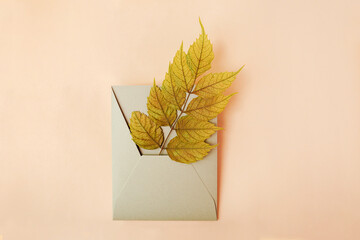 Photography from above of craft envelope with dry leaf in it.Autumn concept.