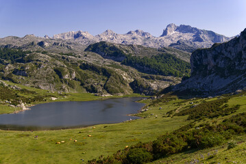 Fototapeta na wymiar Picos de Europa, Spain - Lake Ercina
