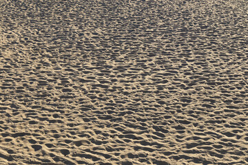 Footprints in the sand. Empty beach in the evening