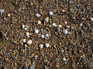 Late afternoon in March, piles of discarded shells grouped together on the shore of Loch Fyne in Argyll and Bute