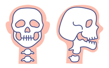 Human skull front and side view x ray isolated set collection concept. Vector graphic design element illustration