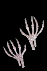 Halloween skeleton hands isolated cutout on black