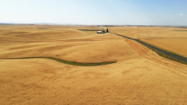 Aerial Rolling fields of golden grain-flying toward distant farm along two-lane blacktop road