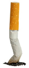macro of put out cigarette isolated - 528283572