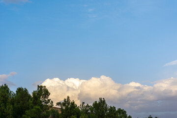Cotton clouds over the forest