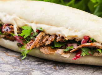 middle eastern veg sandwich breakfast