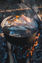 Beautiful surface of fish soup in the sun with fish and spices in a pot on a fire. Cooking in the camp outdoors.