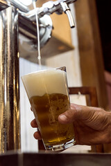 Fototapeta na wymiar Bartender serving craft beer from a tap in a bar. Night club atmosphere.