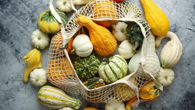 Colorful pumpkins in mesh shopping bag on stone background