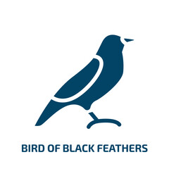 bird of black feathers vector icon. bird of black feathers, feather, bird filled icons from flat birds pack concept. Isolated black glyph icon, vector illustration symbol element for web design and