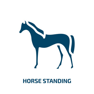 horse standing vector icon. horse standing, horse, stallion filled icons from flat horses concept. Isolated black glyph icon, vector illustration symbol element for web design and mobile apps