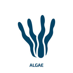 algae vector icon. algae, coral, water filled icons from flat pet shop lineal concept. Isolated black glyph icon, vector illustration symbol element for web design and mobile apps