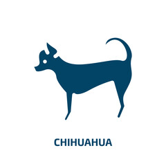 chihuahua vector icon. chihuahua, pet, cute filled icons from flat dog and training concept. Isolated black glyph icon, vector illustration symbol element for web design and mobile apps